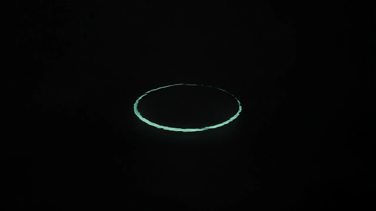 One pale ring on still black water.