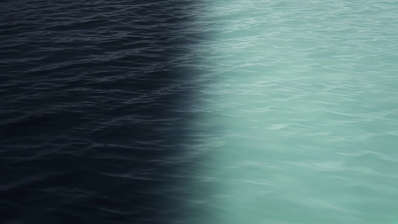 Two tones of the same sea meeting.