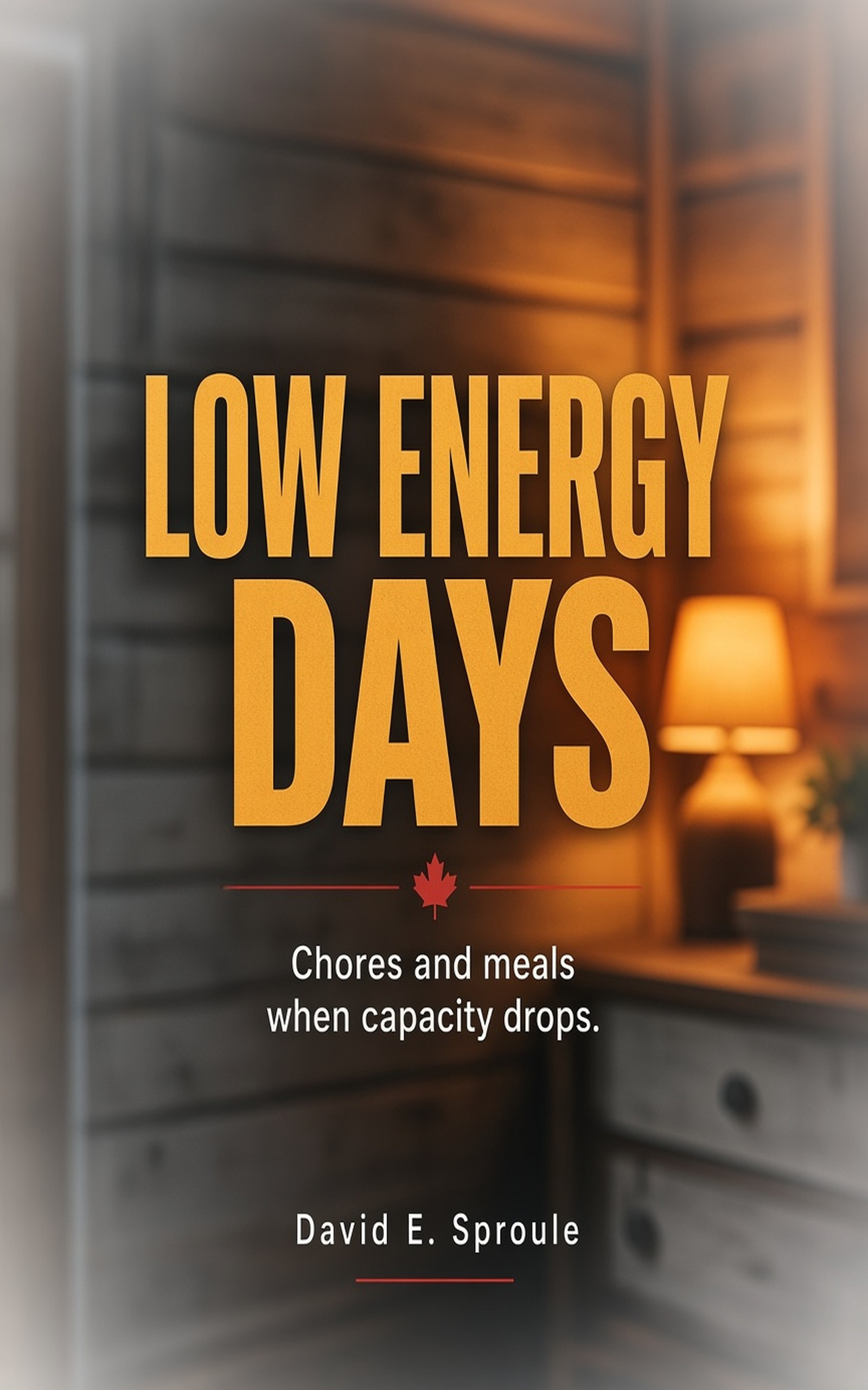 Cover for The Low-Energy Household